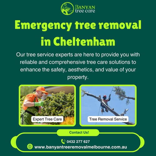 Emergency Tree Removal in Cheltenham – Fast and Reliable Tree Care.jpg