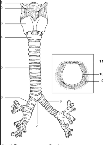 3d56df858142.png