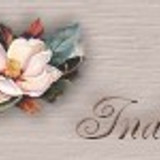 innocenceindex