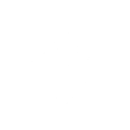 69609 preservation honkai star rail.png