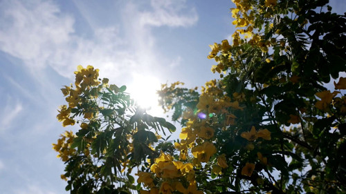 m9oa8VB deHdoFt8.jpg