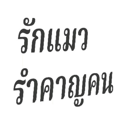 IMG 0904.jpg