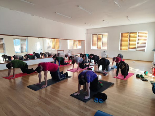 612648164 1523262689806346 1702060553149973131 n.jpg?stp=dst jpg s590x590 tt6& nc cat=105& nc cb=99b.jpg