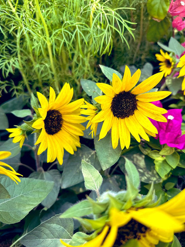 G Mge9BbYAAPPWh?format=jpg.jpg