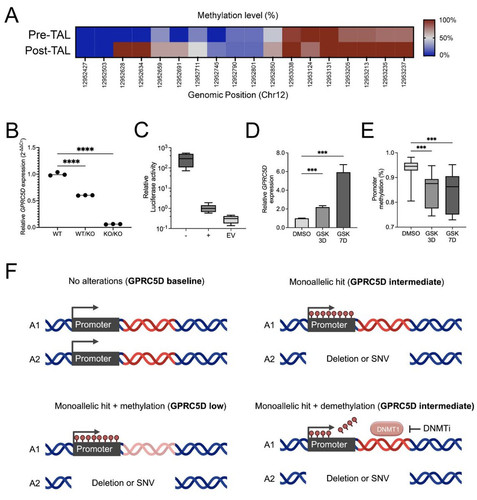 G MtiweWgAAVezo?format=jpg.jpg