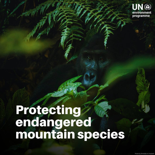 G OS4gaXIAEbAU4?format=jpg.jpg