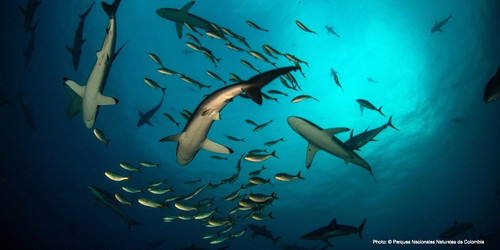 G NOJHlW8AA5v h?format=jpg.jpg