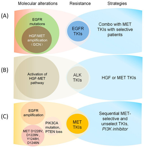 G MOL0lXoAAdzVO?format=jpg.jpg