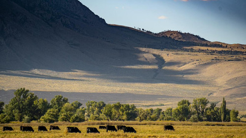 G HZSsnWkAAL9mx?format=jpg.jpg