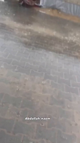 kvz26oRoXiu OYfj.jpg