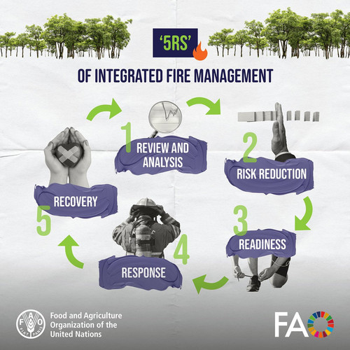 G Kk71aXgAECEDD?format=jpg.jpg