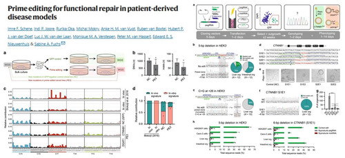 G KvUNbXkAEKZoU?format=jpg.jpg