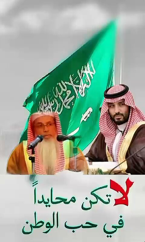 zO3e9PsP Hl D50R.jpg