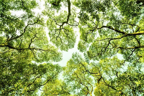 G Ng3vlWEAABRXO?format=jpg.jpg