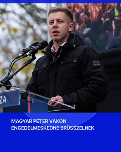 612077202 1208422591479568 9100674847676294033 n.jpg?stp=dst jpg s640x640 tt6& nc cat=108&ccb=1 7& n.jpg