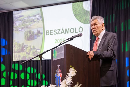 614049783 1468531618612976 4542182884151822653 n.jpg?stp=dst jpg s590x590 tt6& nc cat=108&ccb=1 7& n.jpg