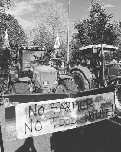 613457409 1258461082761518 3448209127698800501 n.jpg?stp=dst jpg s640x640 tt6& nc cat=107&ccb=1 7& n.jpg