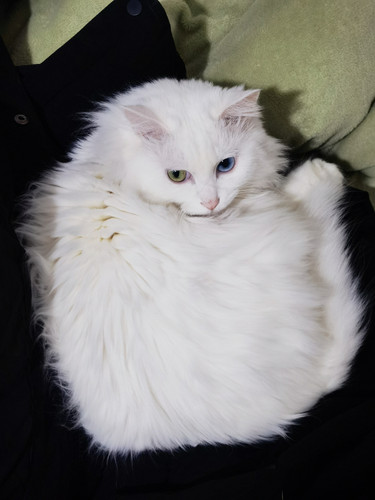 IMG 20260110 005718.jpg