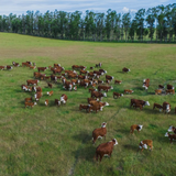 1766071263866?e=1769644800&amp;v=beta&amp;t=X3b0qBIbfFMI9LPye8y7tZ4xgu2JG4Q8Ped3xTECLCM