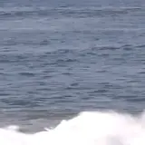 cp23surf2644.webp