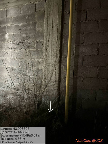 photo 35 2026 01 11 06 28 43.jpg