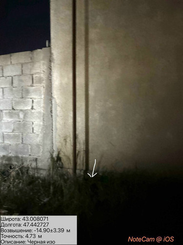 photo 33 2026 01 11 06 28 43.jpg