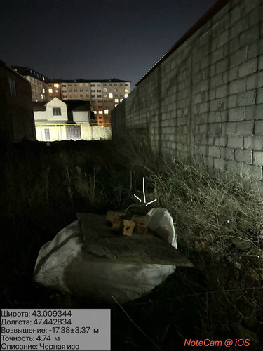 photo 31 2026 01 11 06 28 43.jpg