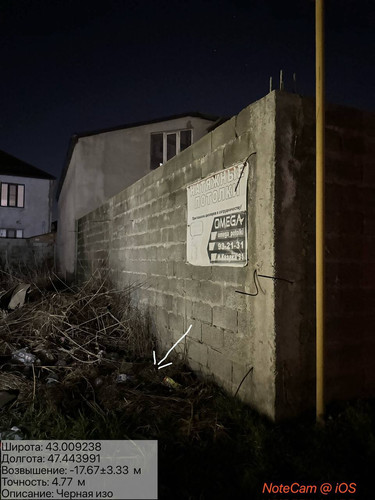 photo 36 2026 01 11 06 28 43.jpg