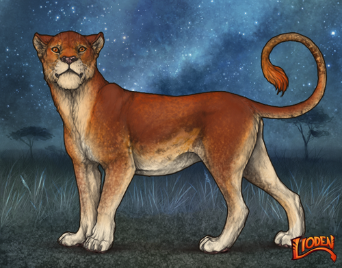 lioden wardrobe (74).png