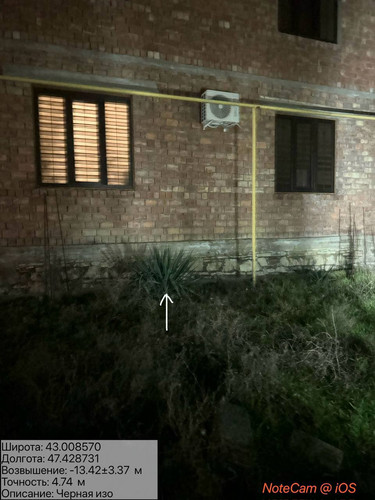 photo 16 2026 01 11 06 28 43.jpg