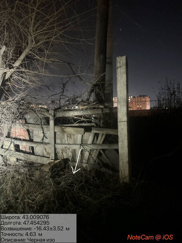 photo 4 2026 01 11 06 28 43.jpg