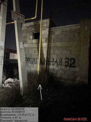 photo 14 2026 01 11 06 28 43.jpg