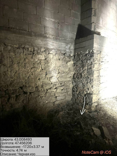 photo 3 2026 01 11 06 28 43.jpg