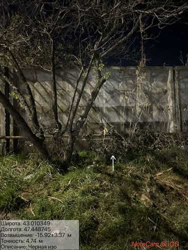 photo 7 2026 01 11 06 28 43.jpg