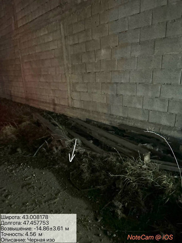 photo 2 2026 01 11 06 28 43.jpg