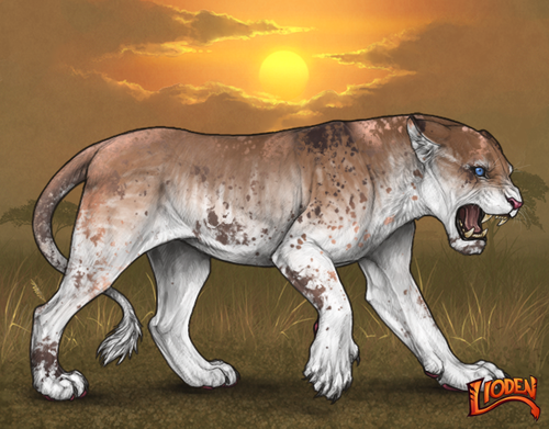 lioden wardrobe (71).png