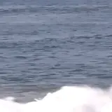 cp23surf264.webp