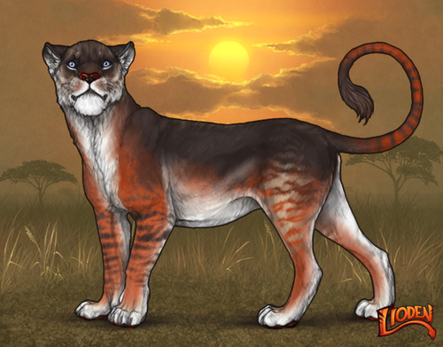 lioden wardrobe (73).png