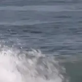 cp23surf26.webp