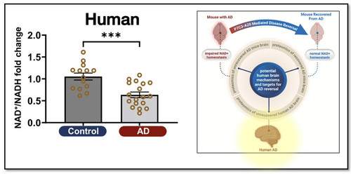 G9vOKZEWEAIL2 K?format=jpg.jpg