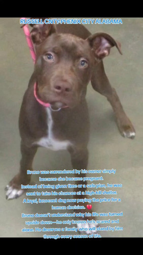 lzQipfrQee8wMc z.jpg