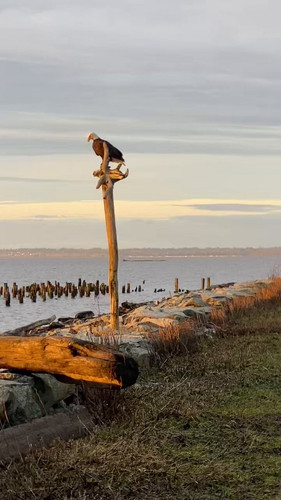 FIfAiZXYILc68 aZ.jpg