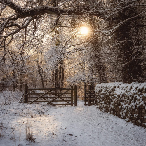 G NNnQfWEAAnSUx?format=jpg.jpg