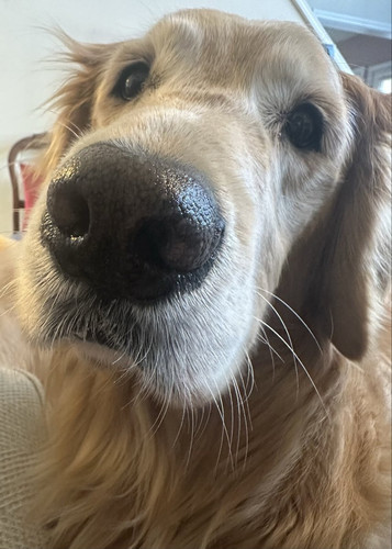 G O4g7kWQAES0Cc?format=jpg.jpg