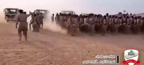 urJvIxd1pk 4cvl .jpg