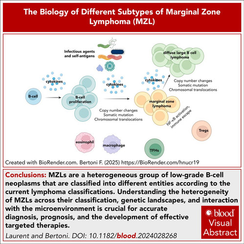 G KkzoDWkAArq3h?format=jpg.jpg