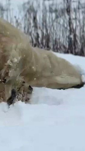 N8YtV mU2dbfSGXE.jpg