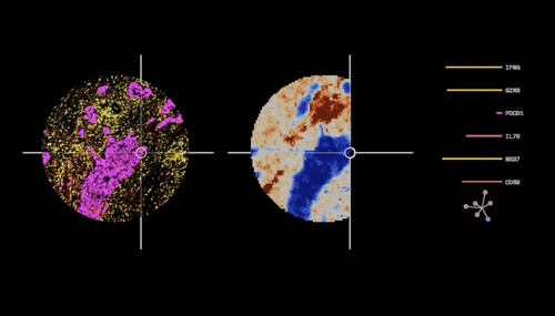 G KcMcTa0AArlET?format=jpg.jpg