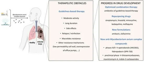 G HqNn5asAAofI7?format=jpg.jpg