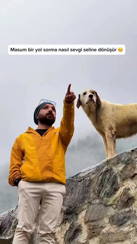 0R0LcMNjs3 iOyBW.jpg